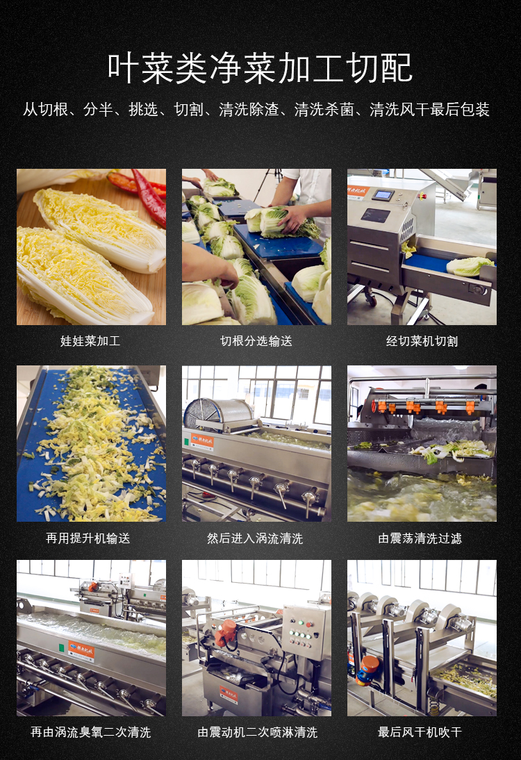 學(xué)校營養(yǎng)餐配送中心用的凈菜加工設(shè)備